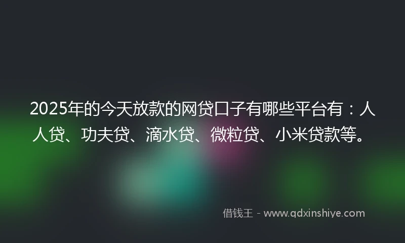 2025年的今天放款的网贷口子有哪些平台有：人人贷、功夫贷、滴水贷、微粒贷、小米贷款等。