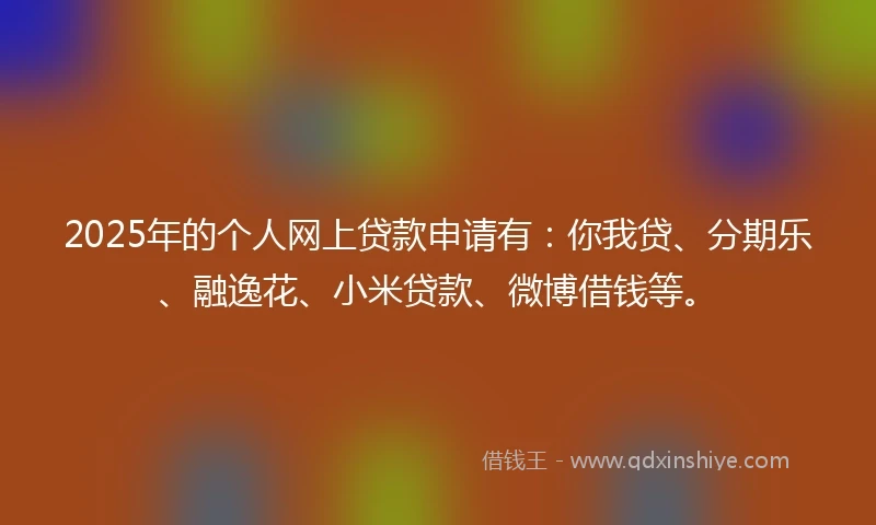 2025年的个人网上贷款申请有：你我贷、分期乐、融逸花、小米贷款、微博借钱等。