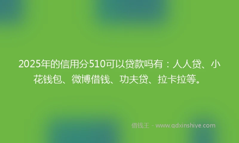 2025年的信用分510可以贷款吗有:人人贷、小花钱包、微博借钱、功夫贷、拉卡拉等。
