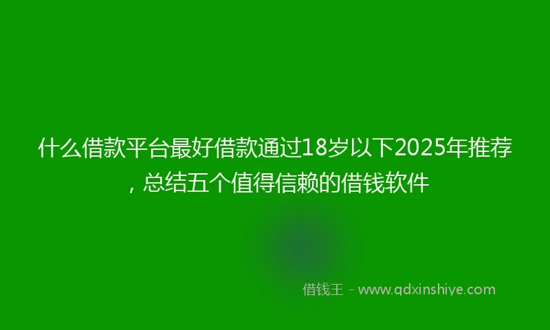 什么借款平台最好借款通过18岁以下2025年推荐，总结五个值得信赖的借钱软件