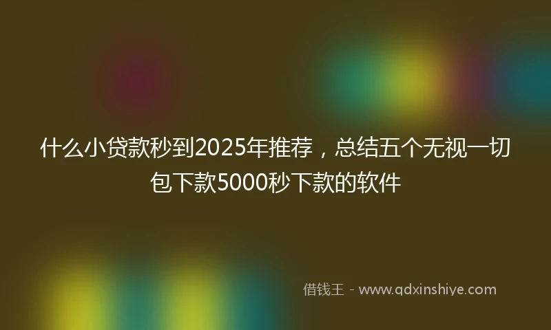 什么小贷款秒到2025年推荐，总结五个无视一切包下款5000秒下款的软件