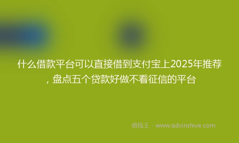 什么借款平台可以直接借到支付宝上2025年推荐，盘点五个贷款好做不看征信的平台