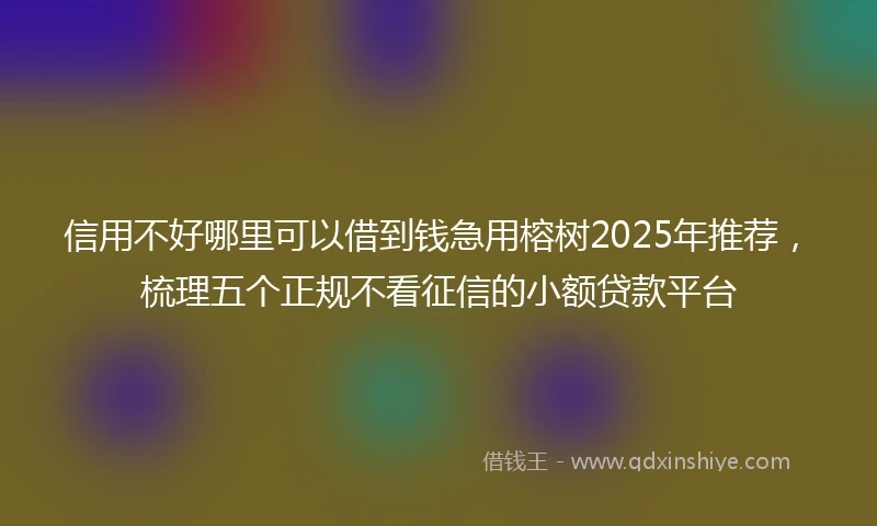 信用不好哪里可以借到钱急用榕树2025年推荐，梳理五个正规不看征信的小额贷款平台
