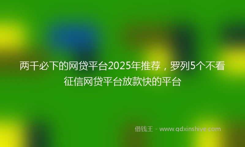 两千必下的网贷平台2025年推荐，罗列5个不看征信网贷平台放款快的平台
