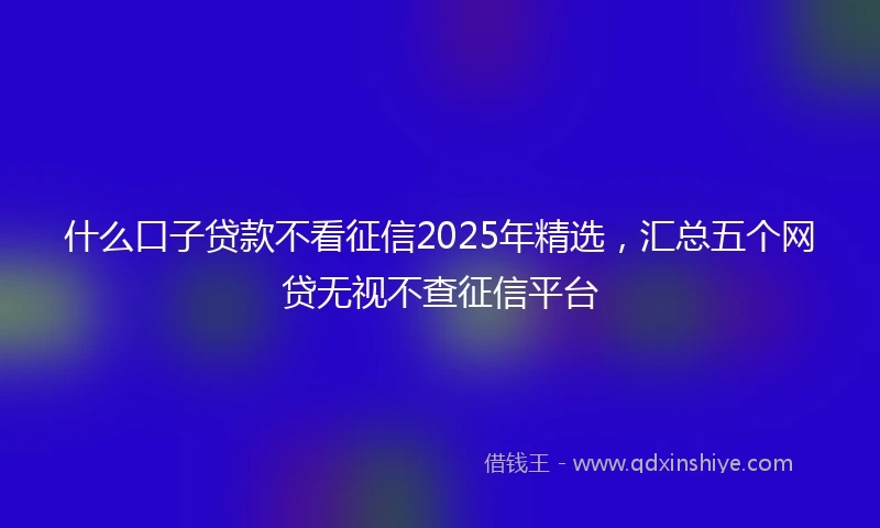 什么口子贷款不看征信2025年精选，汇总五个网贷无视不查征信平台