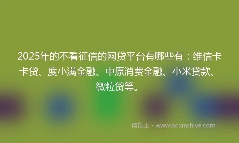 2025年的不看征信的网贷平台有哪些有：维信卡卡贷、度小满金融、中原消费金融、小米贷款、微粒贷等。
