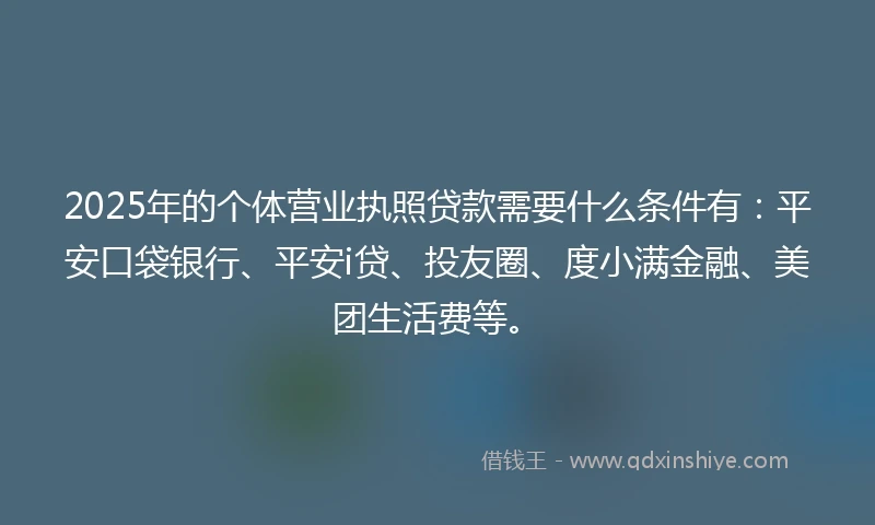 2025年的个体营业执照贷款需要什么条件有：平安口袋银行、平安i贷、投友圈、度小满金融、美团生活费等。