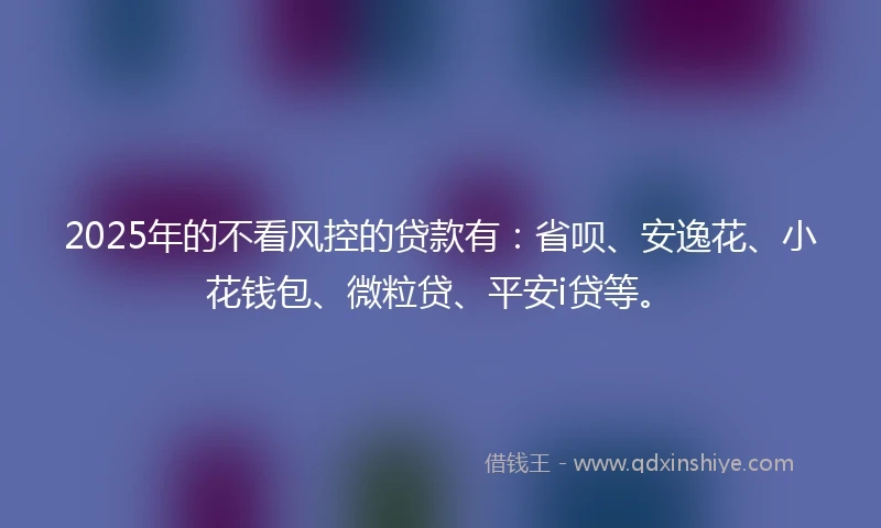 2025年的不看风控的贷款有：省呗、安逸花、小花钱包、微粒贷、平安i贷等。