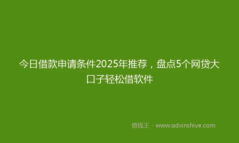 今日借款申请条件2025年推荐，盘点5个网贷大口子轻松借软件