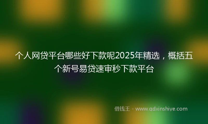 个人网贷平台哪些好下款呢2025年精选，概括五个新号易贷速审秒下款平台