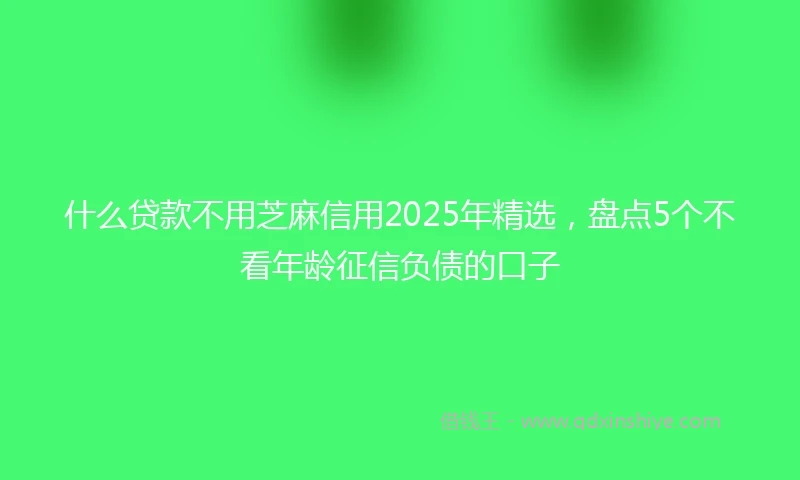 什么贷款不用芝麻信用2025年精选，盘点5个不看年龄征信负债的口子