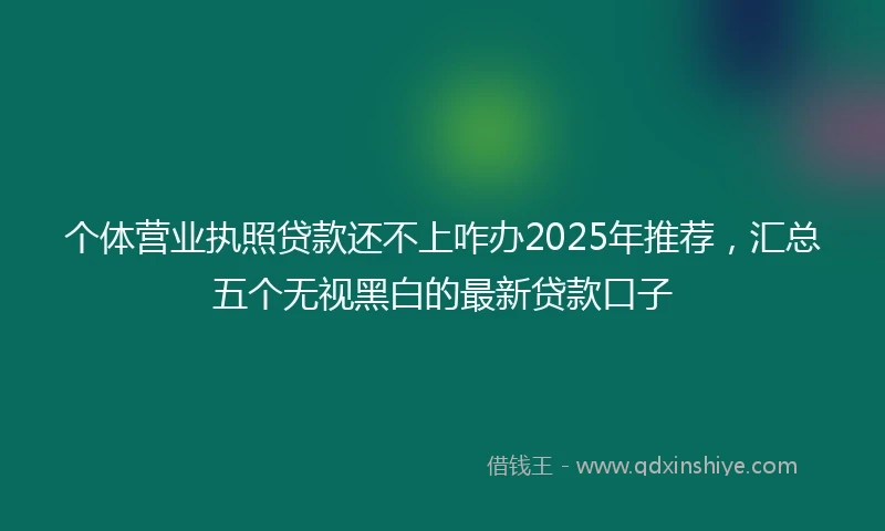 个体营业执照贷款还不上咋办2025年推荐，汇总五个无视黑白的最新贷款口子