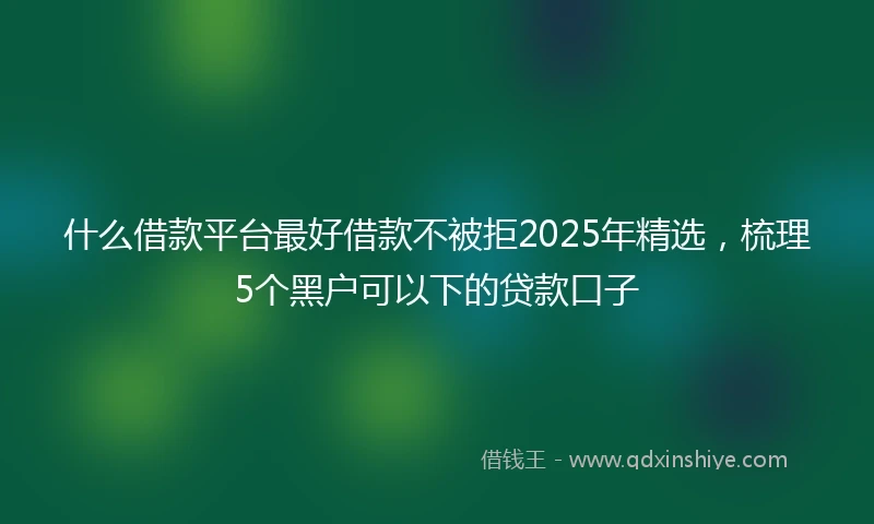 什么借款平台最好借款不被拒2025年精选，梳理5个黑户可以下的贷款口子
