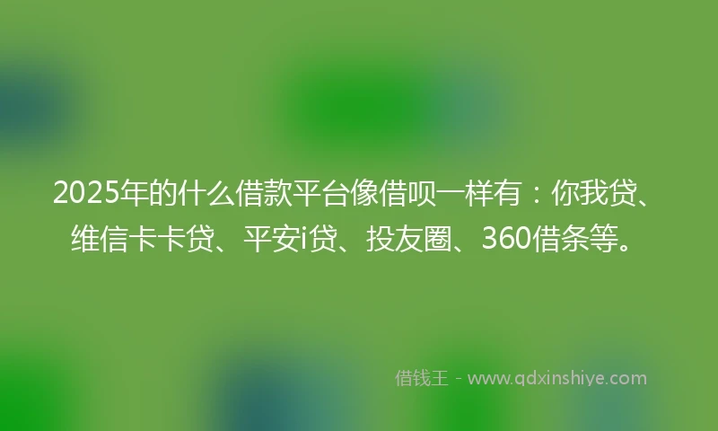 2025年的什么借款平台像借呗一样有：你我贷、维信卡卡贷、平安i贷、投友圈、360借条等。