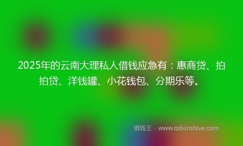 2025年的云南大理私人借钱应急有：惠商贷、拍拍贷、洋钱罐、小花钱包、分期乐等。