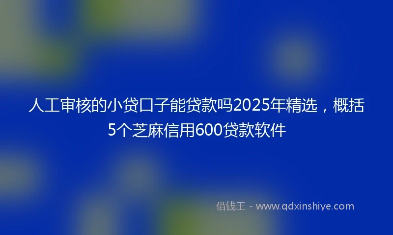 人工审核的小贷口子能贷款吗2025年精选，概括5个芝麻信用600贷款软件