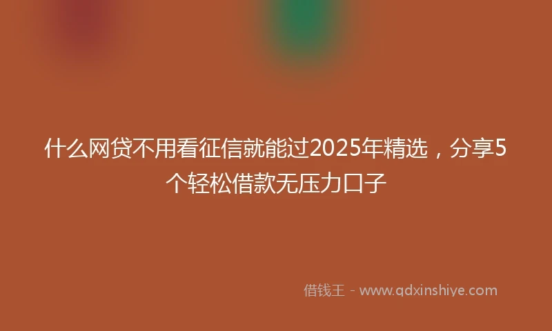什么网贷不用看征信就能过2025年精选，分享5个轻松借款无压力口子
