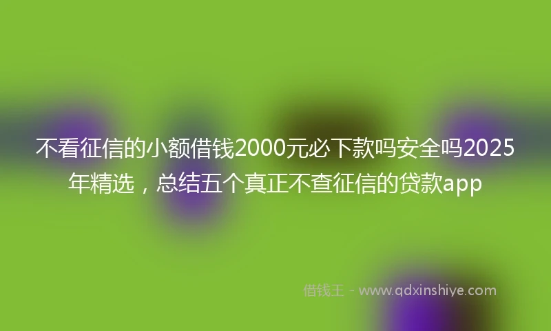 不看征信的小额借钱2000元必下款吗安全吗2025年精选，总结五个真正不查征信的贷款app