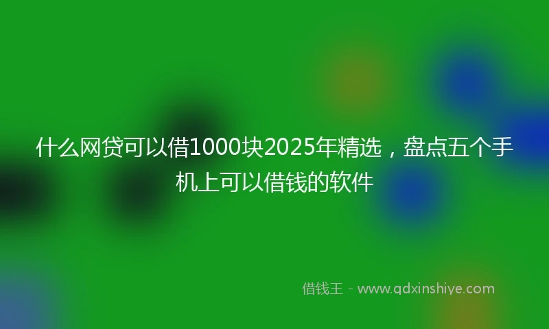 什么网贷可以借1000块2025年精选，盘点五个手机上可以借钱的软件