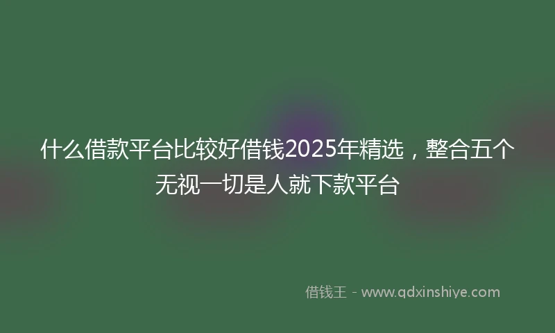 什么借款平台比较好借钱2025年精选，整合五个无视一切是人就下款平台