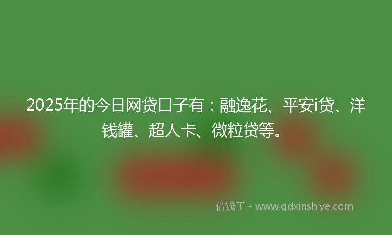 2025年的今日网贷口子有：融逸花、平安i贷、洋钱罐、超人卡、微粒贷等。