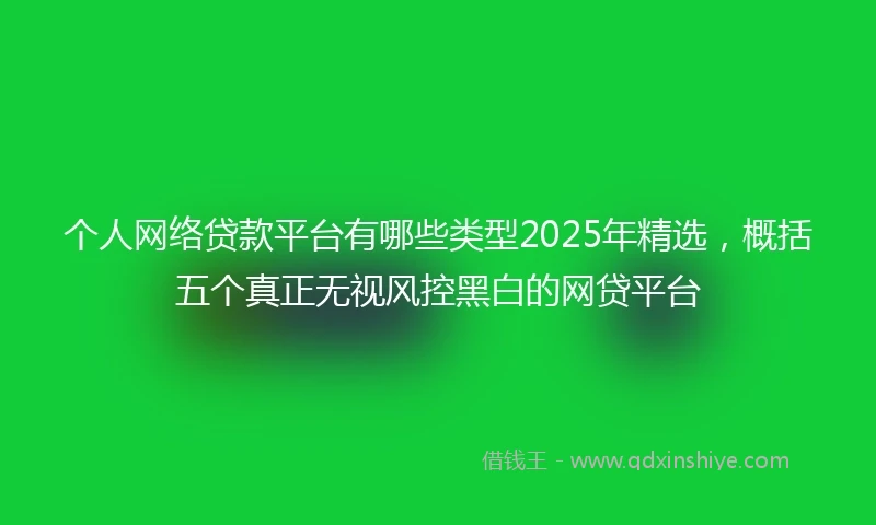 个人网络贷款平台有哪些类型2025年精选，概括五个真正无视风控黑白的网贷平台