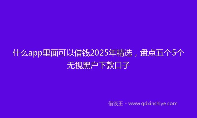 什么app里面可以借钱2025年精选，盘点五个5个无视黑户下款口子
