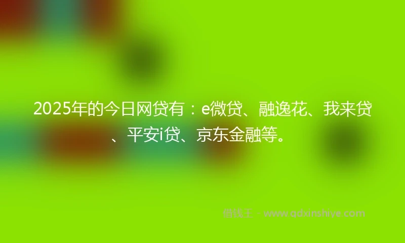 2025年的今日网贷有：e微贷、融逸花、我来贷、平安i贷、京东金融等。