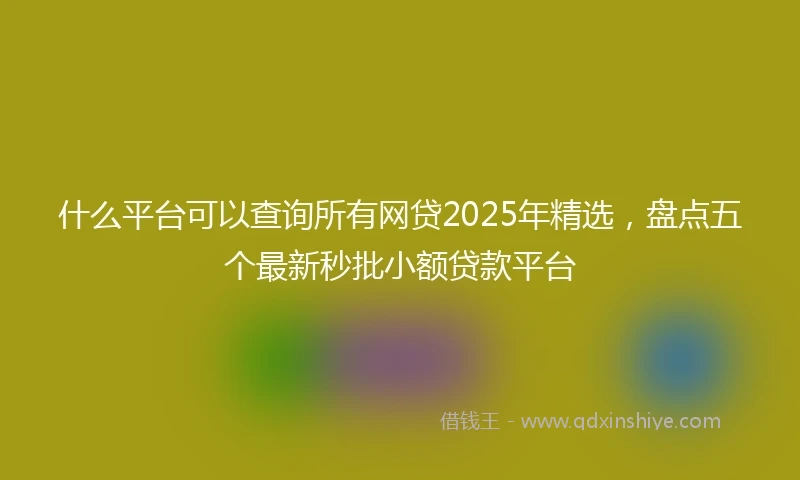 什么平台可以查询所有网贷2025年精选，盘点五个最新秒批小额贷款平台
