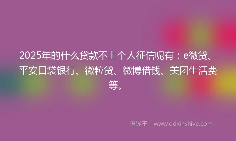 2025年的什么贷款不上个人征信呢有：e微贷、平安口袋银行、微粒贷、微博借钱、美团生活费等。