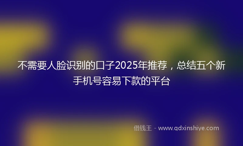不需要人脸识别的口子2025年推荐，总结五个新手机号容易下款的平台
