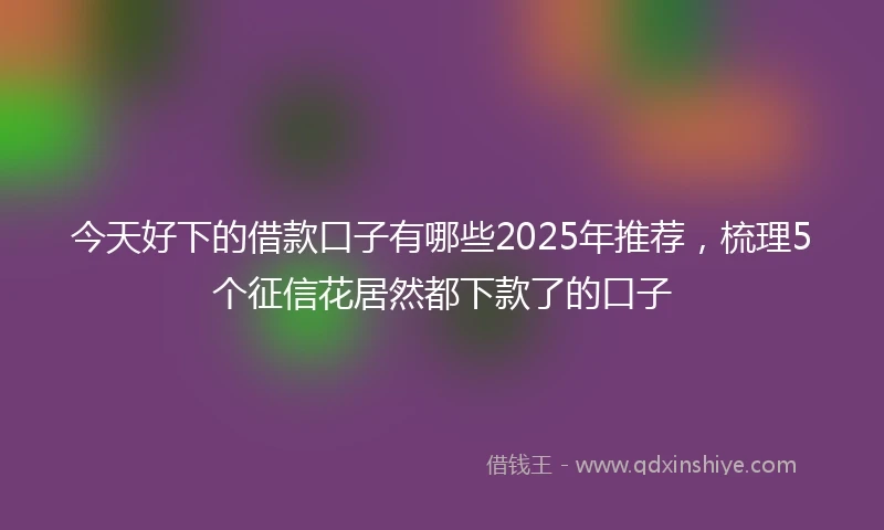 今天好下的借款口子有哪些2025年推荐，梳理5个征信花居然都下款了的口子
