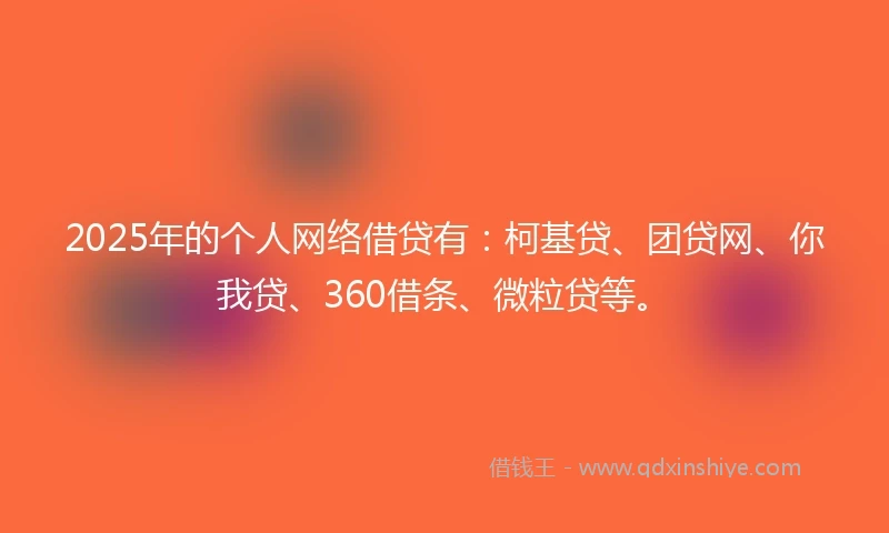 2025年的个人网络借贷有：柯基贷、团贷网、你我贷、360借条、微粒贷等。