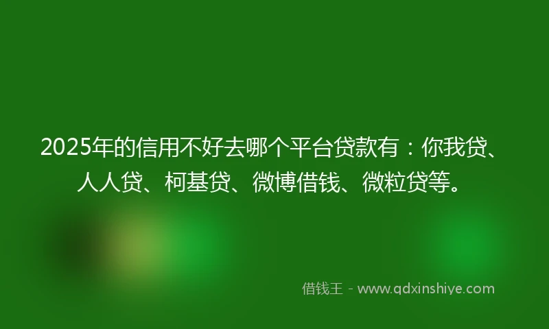 2025年的信用不好去哪个平台贷款有：你我贷、人人贷、柯基贷、微博借钱、微粒贷等。