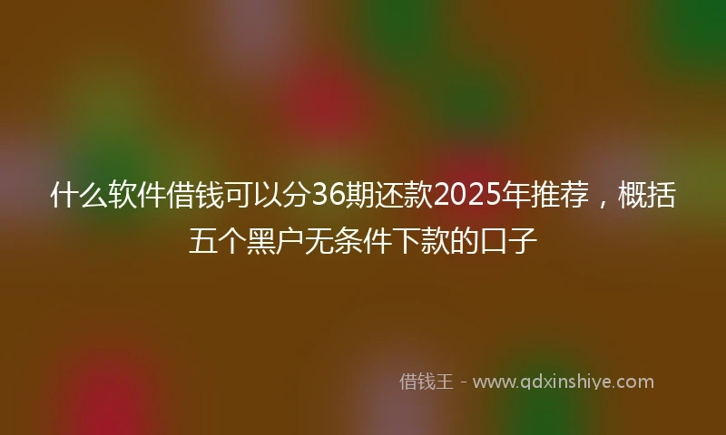 什么软件借钱可以分36期还款2025年推荐，概括五个黑户无条件下款的口子