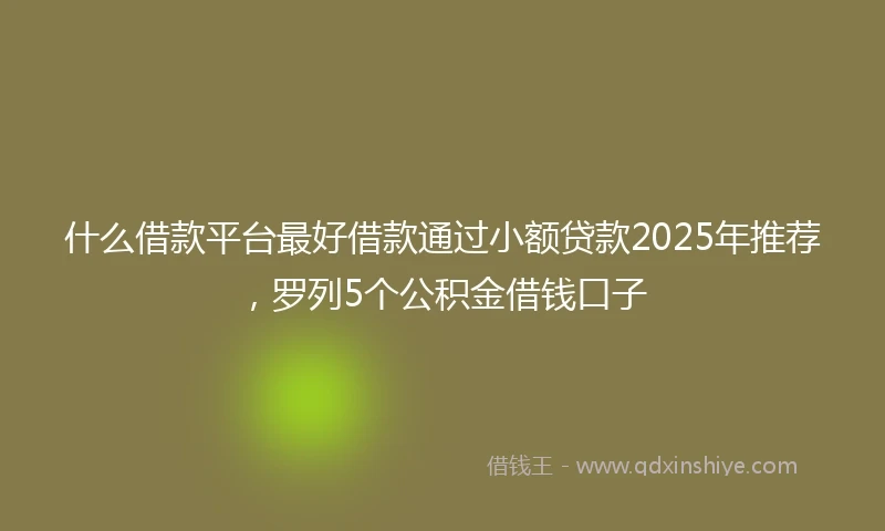 什么借款平台最好借款通过小额贷款2025年推荐，罗列5个公积金借钱口子