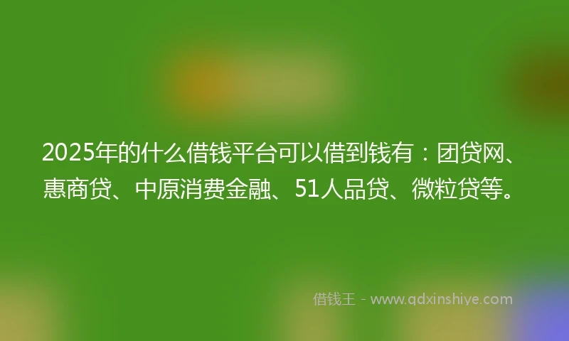 2025年的什么借钱平台可以借到钱有：团贷网、惠商贷、中原消费金融、51人品贷、微粒贷等。