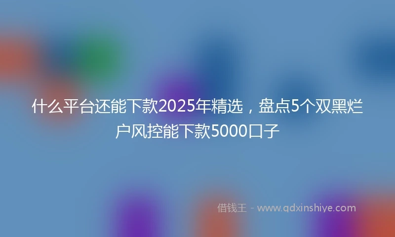 什么平台还能下款2025年精选，盘点5个双黑烂户风控能下款5000口子