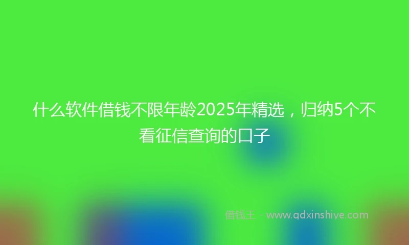 什么软件借钱不限年龄2025年精选，归纳5个不看征信查询的口子