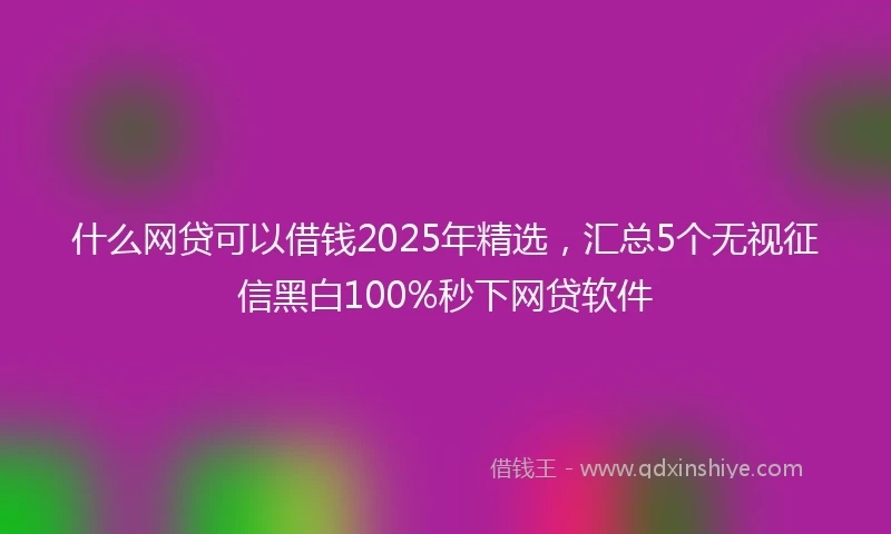 什么网贷可以借钱2025年精选，汇总5个无视征信黑白100%秒下网贷软件