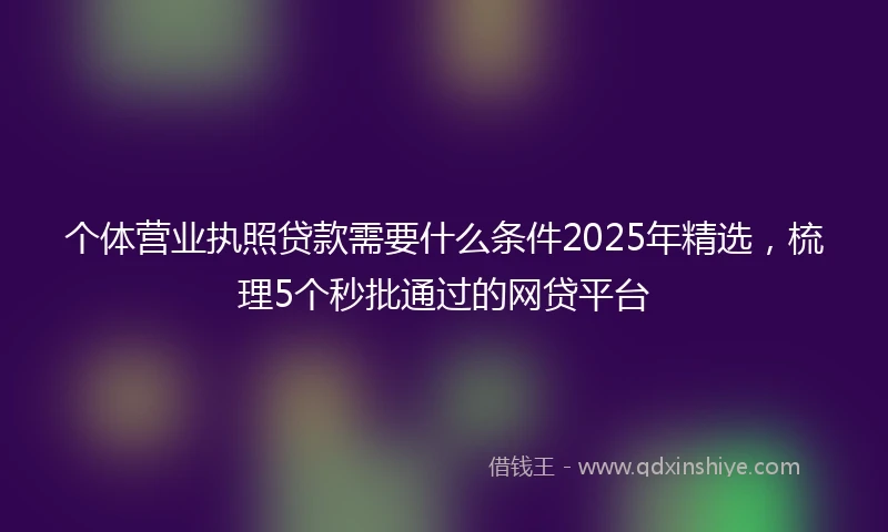 个体营业执照贷款需要什么条件2025年精选，梳理5个秒批通过的网贷平台
