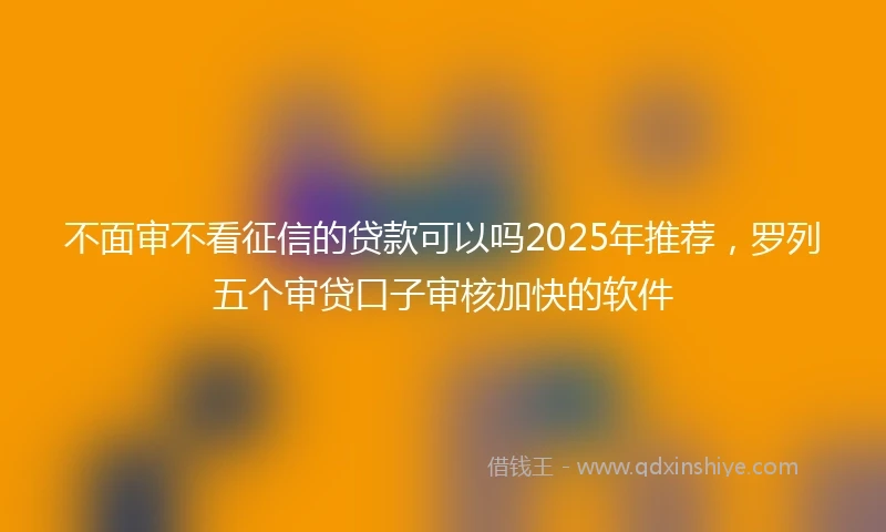 不面审不看征信的贷款可以吗2025年推荐，罗列五个审贷口子审核加快的软件