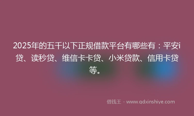 2025年的五千以下正规借款平台有哪些有：平安i贷、读秒贷、维信卡卡贷、小米贷款、信用卡贷等。