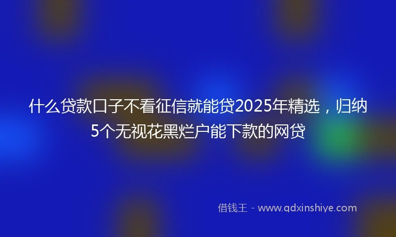 什么贷款口子不看征信就能贷2025年精选，归纳5个无视花黑烂户能下款的网贷