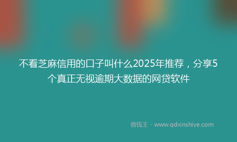不看芝麻信用的口子叫什么2025年推荐，分享5个真正无视逾期大数据的网贷软件