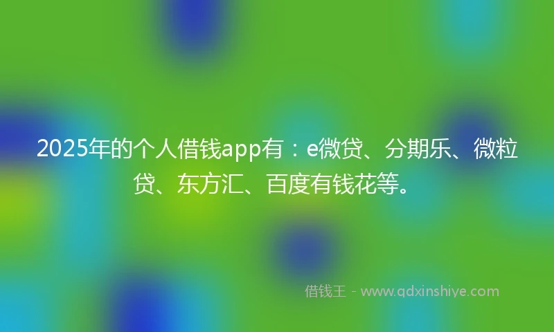2025年的个人借钱app有：e微贷、分期乐、微粒贷、东方汇、百度有钱花等。