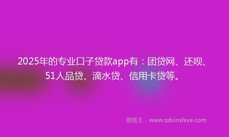 2025年的专业口子贷款app有：团贷网、还呗、51人品贷、滴水贷、信用卡贷等。