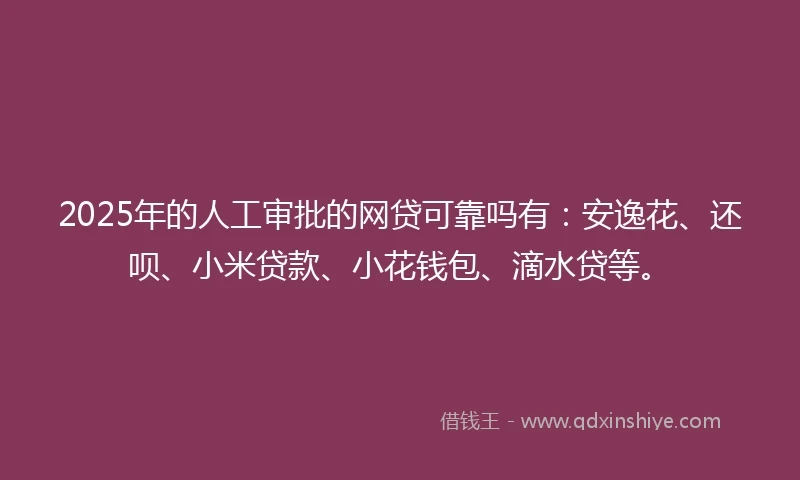 2025年的人工审批的网贷可靠吗有：安逸花、还呗、小米贷款、小花钱包、滴水贷等。