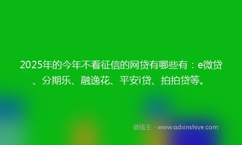 2025年的今年不看征信的网贷有哪些有：e微贷、分期乐、融逸花、平安i贷、拍拍贷等。