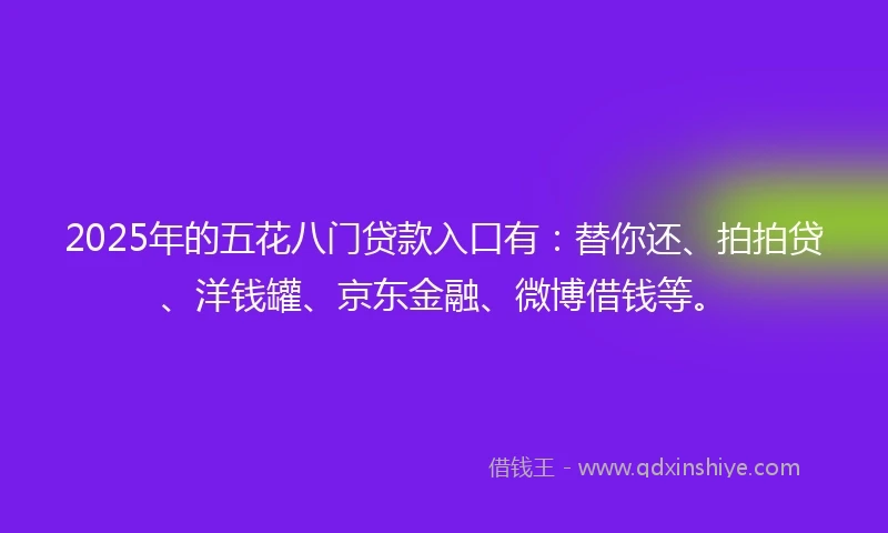 2025年的五花八门贷款入口有：替你还、拍拍贷、洋钱罐、京东金融、微博借钱等。